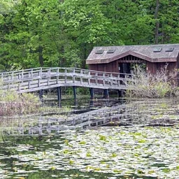 Wildflower Island Guided Tours