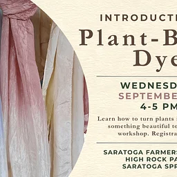Introduction to Plant-Based Dyes
