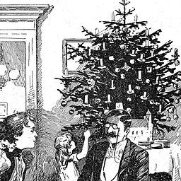 Oh, Christmas Tree Tour