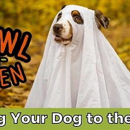 Bring Your Dog to the Zoo: Howl-o-Ween Edition