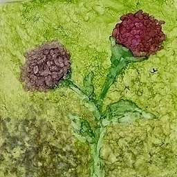 Painting with Alcohol Ink
