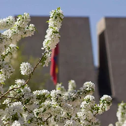 Saturday Special: Visual Arts Museum Tour