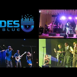 Live Music: Shades of Blue