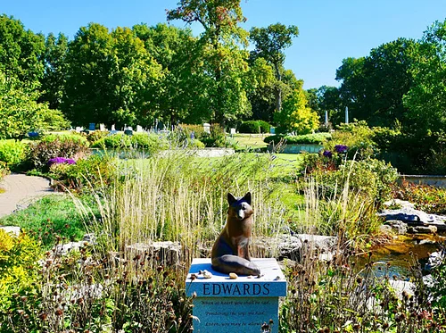 Horticulture Class – Floriography, the Language of Flowers (Spring Session)