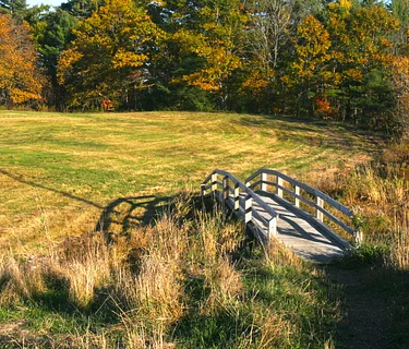 Explore the Nocturnal World of Fuller Farm