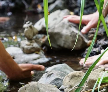 Forest Bathing Mini-Retreat