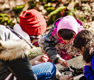 Saturday Nature Hour (Marshfield)