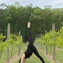 Vinyasa and Vino at Wind Vineyards