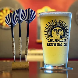 Calapooia Darts Tournament
