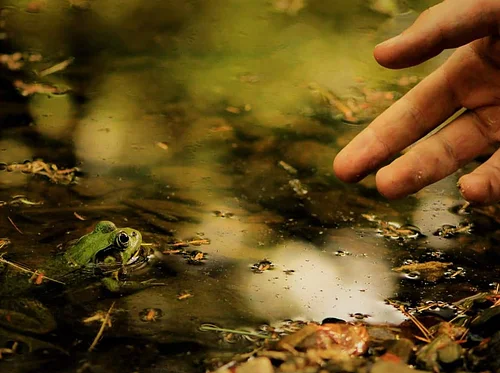 Vacation Drop-Off Day: Signs of Spring
(Ages 5-9)