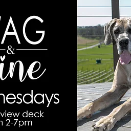 Wag & Wine Wednesday at grandview