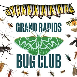 Bug Club!