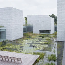 Art Discovery Trip: Glenstone Museum