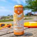 Big Ditch Brewing Company