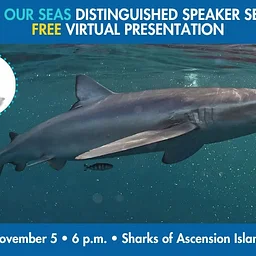 Save Our Seas Distinguished Speaker Series FREE Virtual Presentation
