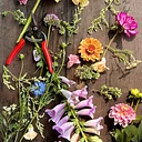 Pilates + Flower Picking