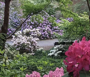 Early Summer at Highland Park: A Guided Tour