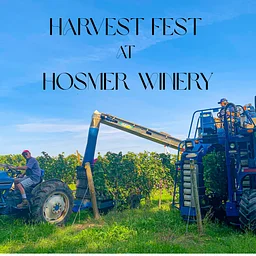 Harvest Fest