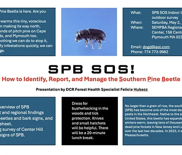 Southern Pine Beetle Training (Plymouth)