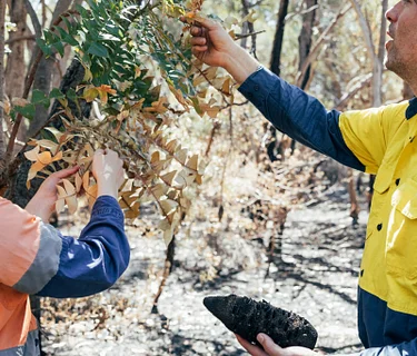 Protecting Plants & Habitats | Nature Academy Class