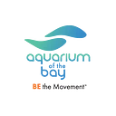 Aquarium Of The Bay