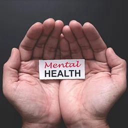 Mental Health First Aid Certification
