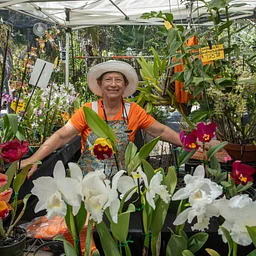 Naples Orchid Society Annual Show & Sale