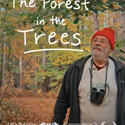 Public Film Screening & Q&A: The Forest in the Trees