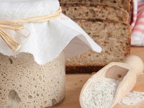 Rye Sourdough (Bilingual)
