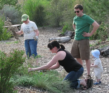 Dig Your Own Native Shrubs