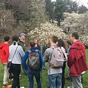 Arboretum Highlights Tour