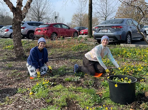 Horticulture Community Volunteer Days