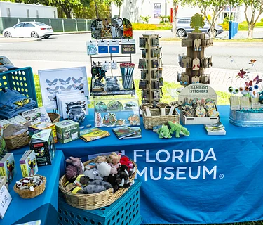 Pop-up Gift Shop: Gator Market