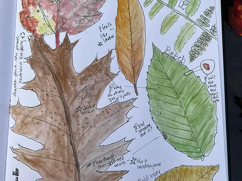 Kids Nature Journaling Workshop with Heidi Colburn