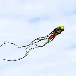 Time to Fly Kite Fest
