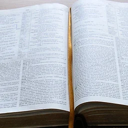 Young Adult Bible Study