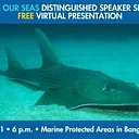 Save Our Seas Distinguished Speaker Series FREE Virtual Presentation