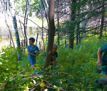 Wonder Wednesday: Fungus Among Us