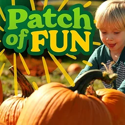 Patch of Fun