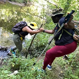 Walk Around Philly: The Northeast