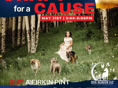 Craft For a Cause: The Underdogs by Dog Heaven