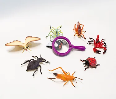 Bilingual Garden Workshop