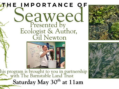 ‘The Importance of Seaweeds’ presented by Ecologist and Author Gil Newton and The Barnstable Land Trust