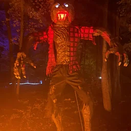 CFT’s Fright Night Haunted Forest 2027 – Day 2