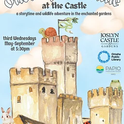 Once Upon a Time at the Castle