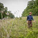 Warm-Season Grasses of the Georgia Piedmont