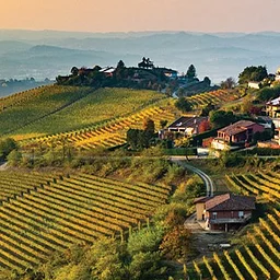Tuscany Tour zoom Info Session