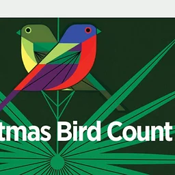 Annual Christmas Bird Count