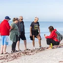 Guided Beach Walk @ Sanibel Moorings