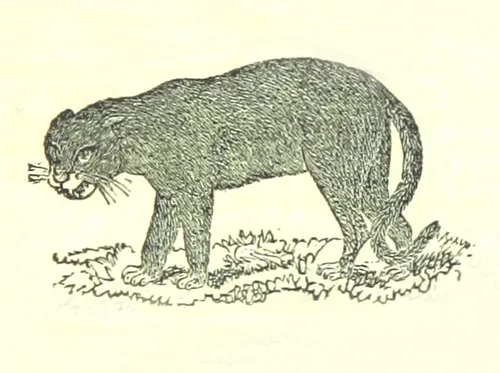 Program: Zadock Thompson and the Story of Vermont
